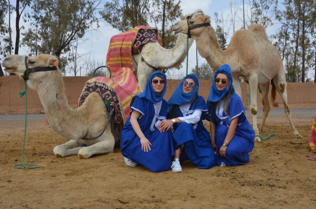 Camel Riding Palm Grove Marrakech